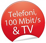 Telefoni, 100Mbit/s & TV